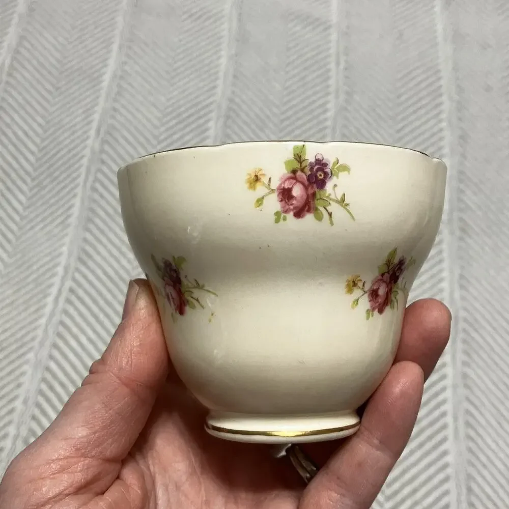 Foley Bone China Rosette Pink and Biqsue Teacup and Saucer Set Yellow Interior